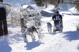 Lenk 2013